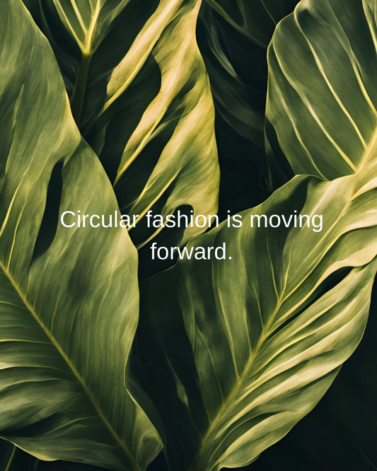 How Circular Fashion Is Transforming Resale — and Why It Matters Now